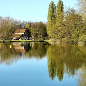 l'étang du Chaloy : beau carpodrome !