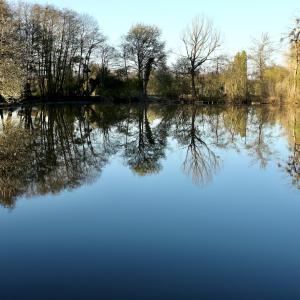 Reflets sur l'étang des Fichus !!!