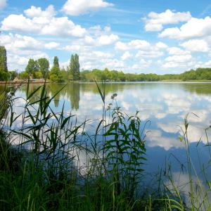 L'étang de la Gazonne attire aussi de nombreux pêcheurs