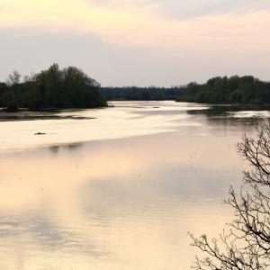 La Loire reste aussi un magnifique site pour la pêche