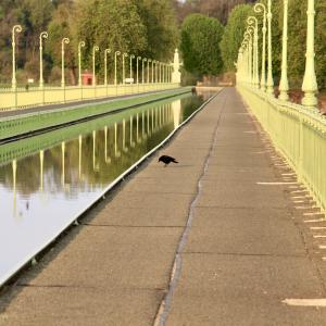 Le pont Canal de Briare, majestueux !