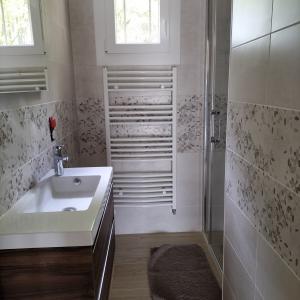 La salle d'eau équipée d'une douche à l'italienne.