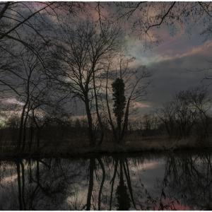 Coup de cœur pour l'étang des Fichus